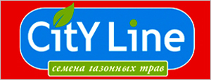 city-line-logo